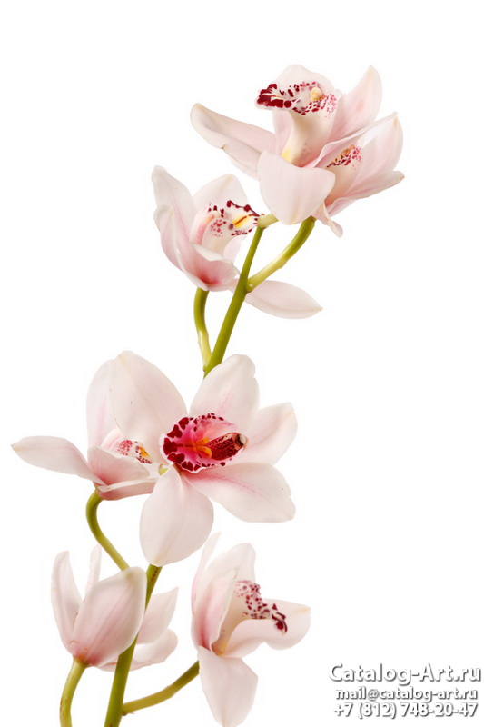 картинки для фотопечати на потолках, идеи, фото, образцы - Потолки с фотопечатью - Розовые орхидеи 51